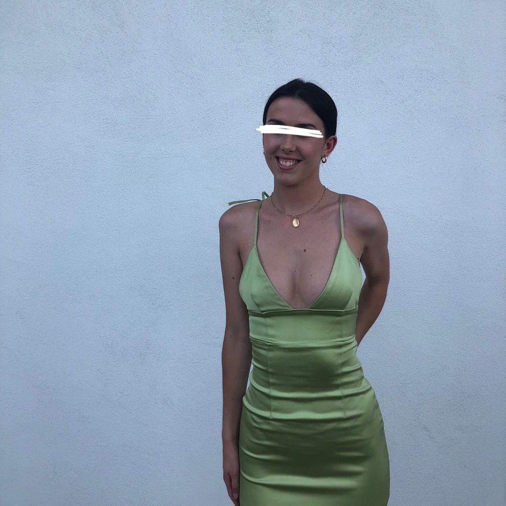Aritzia Dress